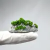 Modelo de Escena Pizarra Pasos de Piedra Camino Mini Piedra para Pisos Edificio Mesa de Arena Camino Pizarra Miniatura Modelo Otros