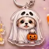 Llavero acrílico plano 2D de Halloween transfronterizo con diseños de animales de dibujos animados, calabaza, fantasma y monstruo