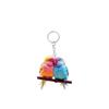 Llavero Acrílico Entusiasta de Loros Decoración de Llavero Regalo Listo para Stock Transfronterizo Llavero de Loro