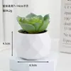 Atacado de Plantas Suculentas Artificiais, Vaso Diamante Plantas Suculentas Lote Misto, Vendas Diretas da Fábrica, Decorações de Plantas Verdes para Escritório