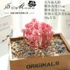 007 simulación carnosa flocado serie roja suministros creativos DIY accesorios para arreglos florales decoración de pared de plantas una generación de cabello