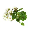 Flor Artificial Begonia en Maceta de Alta Calidad al por Mayor Decoración para Hotel Restaurante Escena Artificial con Flores