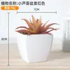 Plástico carnoso de simulación bonsái decoración de oficina escritorio adornos pequeños carnoso accesorios para fotos flores artificiales falsas