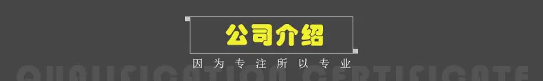 公司介绍