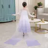 Vestido de Princesa Frozen 2 de Natal 2024 para Meninas Estilo Saia de Performance de Aniversário de Verão Vestido de Comércio Exterior