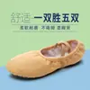 Venta al por mayor de fábrica zapatos de baile para mujer niños suela blanda zapatos de ballet zapatos de baile para adulto práctica básica de yoga zapatos de garra de gato
