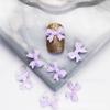 Accesorios y Materiales de Arte de Uñas con Lazo de Hada Grande en Relieve Estilo Influencer de Moda para Transmisión en Vivo en Douyin, Artículos Transfronterizos de Gran Venta