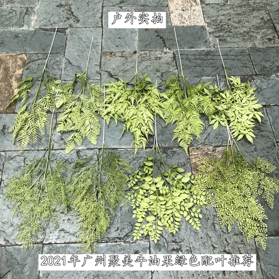 微信图片_20210629132455_副本