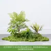 Plantas Verdes Artificiais Atacado Paisagismo Interno Plantas Falsas de Alto Padrão Decoração de Paisagem Aglomerados de Musgo Flores Biônicas Decoração Suave Luz