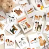 Xinmo Life Serie de Galletas Dulces Pequeñas Libro de Pegatinas Gato y Perro de Dibujos Animados Materiales de Decoración para Diario de Postres Collage