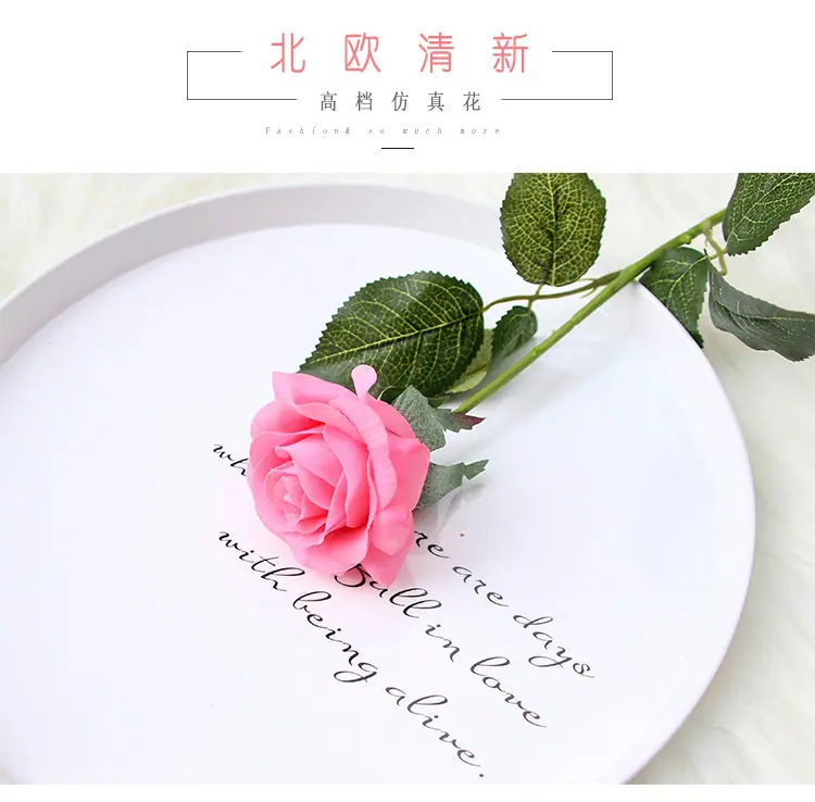 保湿玫瑰9.jpg