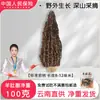 Cogumelos Morchella Secos, Não Selvagens, 500g, Ingredientes para Sopa de Cogumelos Frescos, Caixa de Presente Loja Principal, Matsutake de Yunnan