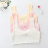 Ropa interior de algodón puro para niñas, estilo fino, adecuada para la etapa de desarrollo, sujetador de algodón puro para niñas de primaria, sujetador deportivo con diseño anti-abulto, chaleco pequeño acolchado