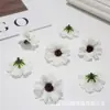 Flores Artificiales Flor de Margarita Cosmos Africano Flores Pequeñas Frescas Guirnalda de Vacaciones en la Costa Accesorios Flores para Decoración de Bodas