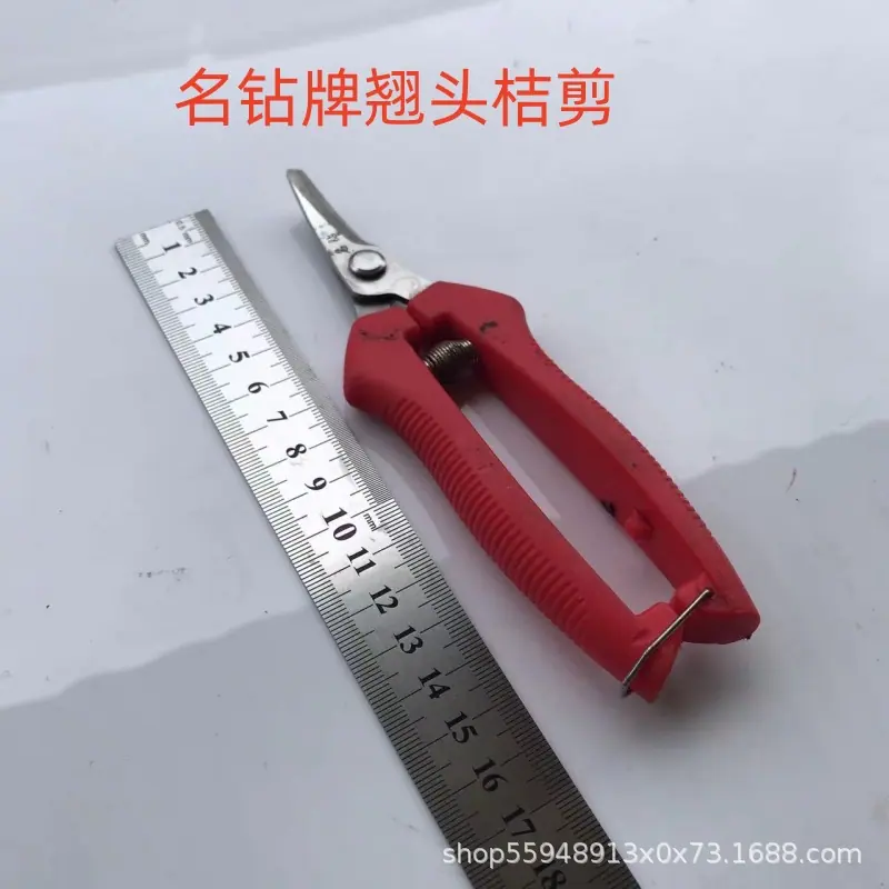 翘头桔剪.jpg