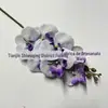 Orquídea Borboleta Artificial Pequena de 7 Cabeças, Material de Flor Decorativa Estilo Europeu, Cores de Outono, Flores Artificiais Atacado para Casamento e Hotel