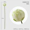 Flor de Loto Artificial Flor de Loto Nueva China Flor Falsa Hoja de Loto Decoración de Cúpula de Loto Decoración de Jarrón de Sala de Estar Accesorios para Sesión de Fotos
