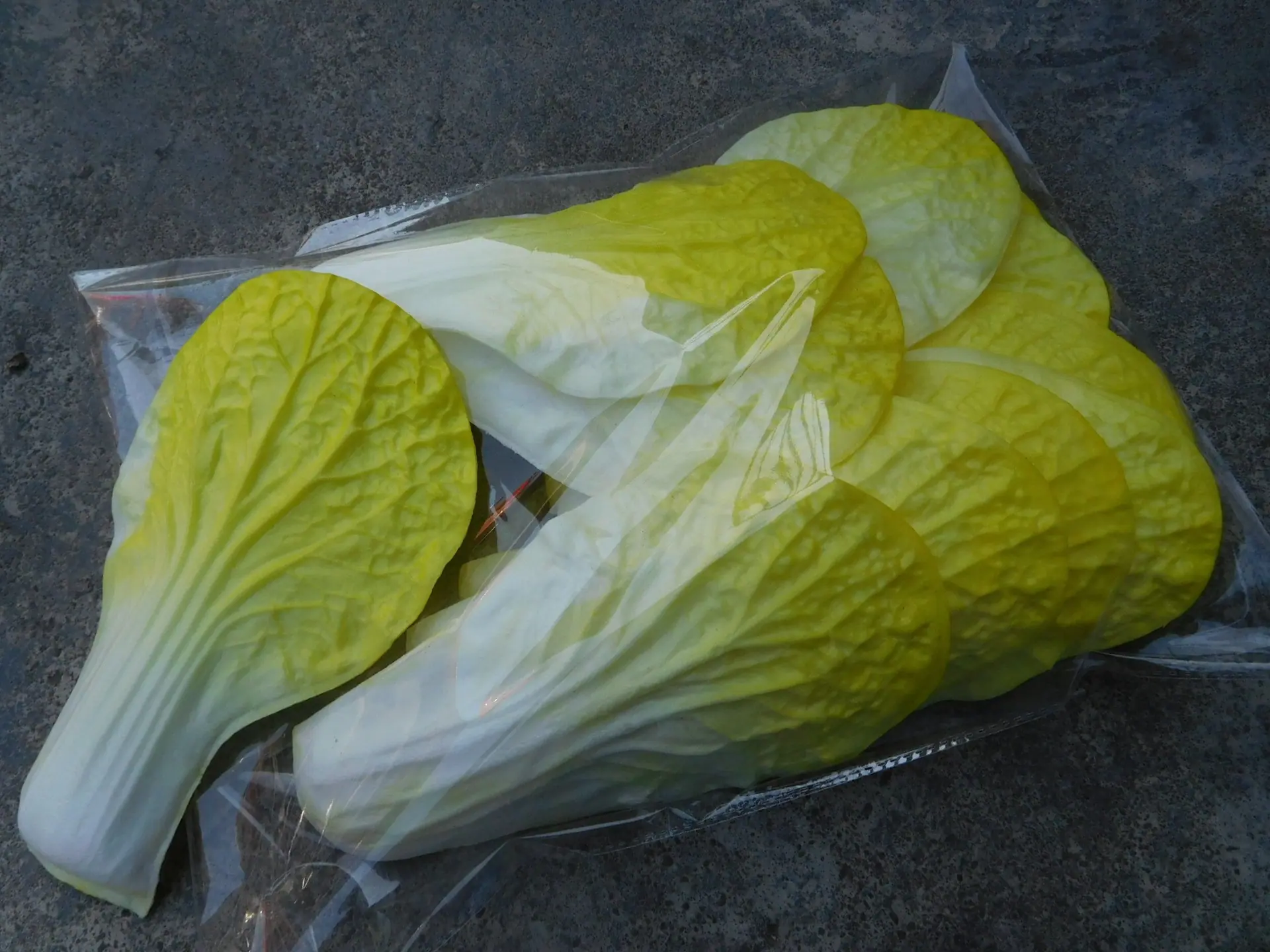 12片 黄白菜叶