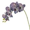 Algodón de Silicona 3D Phalaenopsis Tacto de Mano 7 Orquídeas Grandes Decoración de Boda Modelo de Orquídea para el Hogar Casa Diseño de Auditorio de Boda