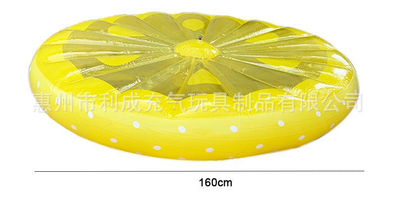 Lemon pool float (4).jpg