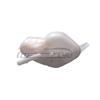 Adecuado para Nissan Qashqai 2019 Hervidor/Sin tapa 217114EA0A