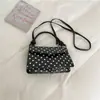 2026 Nuevo Bolso Casual Simple Popular de Lunares Elegante Moderno Bolso de Hombro Único Cruzado Bolso Cuadrado Pequeño para Viajar