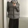 Colete de Penas Tamanho Grande Estilo Coreano Masculino Feminino Outono Inverno Nova Moda Solto Gola Alta Colete Colete Top Roupa Externa Tendência