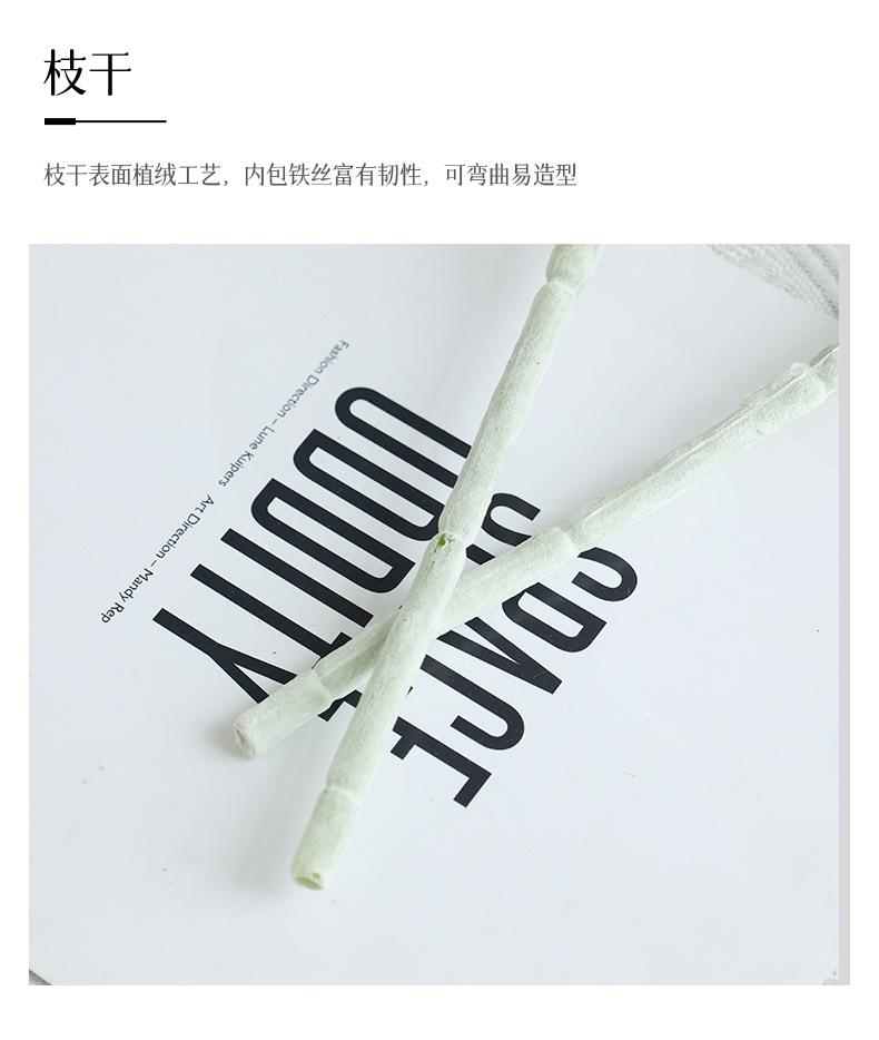 3头梦柏露莲_16