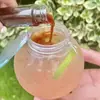 Taza redonda esférica de 500 ml para té de leche, desechable, transparente, plástico PET, botella para bebidas, taza medusa con tapa