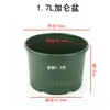 Bacia Galão Curta Diâmetro Grande Resistente ao Desgaste Plástico Grosso Grande Rosa Verde Dendrobium Carnudo Boca Larga Respirável Bacia Vaso