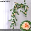 Enredaderas de Rosas, Rosas Trepadoras, Decoraciones para Calefacción Interior, Enredaderas de Flores para Cubrir Paredes, Plantas Verdes