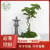 Celebridade da Internet Pin de Boas-Vindas Artificial Personalizado Grande para Paisagismo Interno e Externo Ornamentos Decorativos Atacado Podocarpus Árvore Artificial