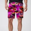Venda Direta de Fábrica Calças de Cinco Pontos Impressas em 3D Calças Havaianas de Praia Masculinas Shorts para Férias na Beira-Mar Venda Quente Transfronteiriça Novo Estilo