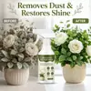 Spray de Limpeza para Plantas Artificiais KineShineX para Flores Artificiais e Plantas Verdes, Remoção de Poeira, Remoção de Manchas, Sem Enxágue, Cuidado Suave