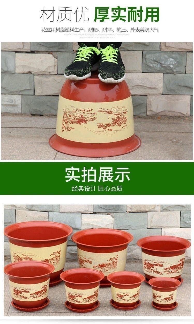 5726d273-173f-4300-b3ff-170db404258f.jpe