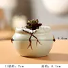 Colar pequeno criativo especial vaso de cerâmica feito à mão planta suculenta pequena fresca planta suculenta vaso de cerâmica artesanato atacado