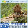 Equipamento de Diversão Jardim do Aeroporto Baiyun de Guangzhou Pergola de Paisagem Externa Personalizada Estrutura de Escalada Combinação de Escorregador Não Motorizado