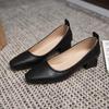 Sapatos de Salto Baixo Novos de Primavera e Verão 2024 Simples Senhora Elegante Couro Macio Sem Atrito Bico Fino Camada Única Salto Baixo Salto Alto