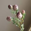 5 cabezas de rosa con borde quemado, flor artificial retro de seda, decoración de flores falsas, flores secas de imitación, ropa suave para el hogar, marchitar, secar, boda