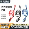 Correa P-chain para mascotas, correa para perros, nylon de alta calidad 1.0CM, correa para mascotas en stock
