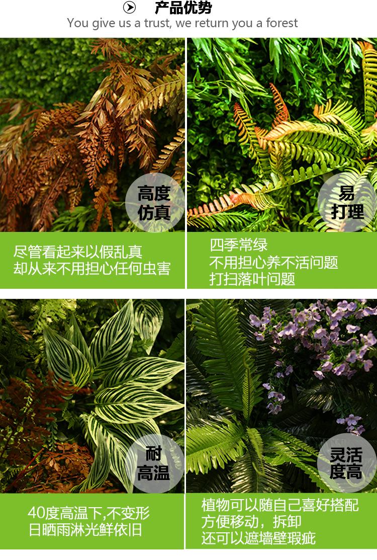 详情_10