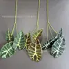 Hojas de Pavo Real Negras, Hojas de Arreglo Floral de Planta Simulada, Decoración del Hogar, Hojas de Taro de Colores, Hojas de Loto de Guanyin, Plantas Verdes para Bodas