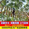 Fabricante de Equipos de Expansión para Cruce de Jungla, Actividades Educativas al Aire Libre a Gran Escala, Tirolesa de Gran Altura, Escalada en Túnel para Niños, Trampolín de Red Mágica
