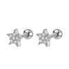 Brincos de Aço Inoxidável Mini Rosa Unha do Osso da Orelha Conjunto Brincos de Diamante Brincos Europeus e Americanos Joias para Piercing Atacado