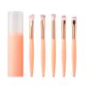 Juego de 5 brochas de maquillaje, práctico juego de enjuague de maquillaje, brocha para sombras nasales, brocha para rubor de maquillaje facial, venta al por mayor