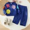 Nova coleção de primavera e outono de roupas infantis para exportação: um conjunto de duas peças apresentando calças de perna larga de cor lisa e uma blusa de moletom bordada floral em tecido felpudo, oferecendo um estilo casual e confortável