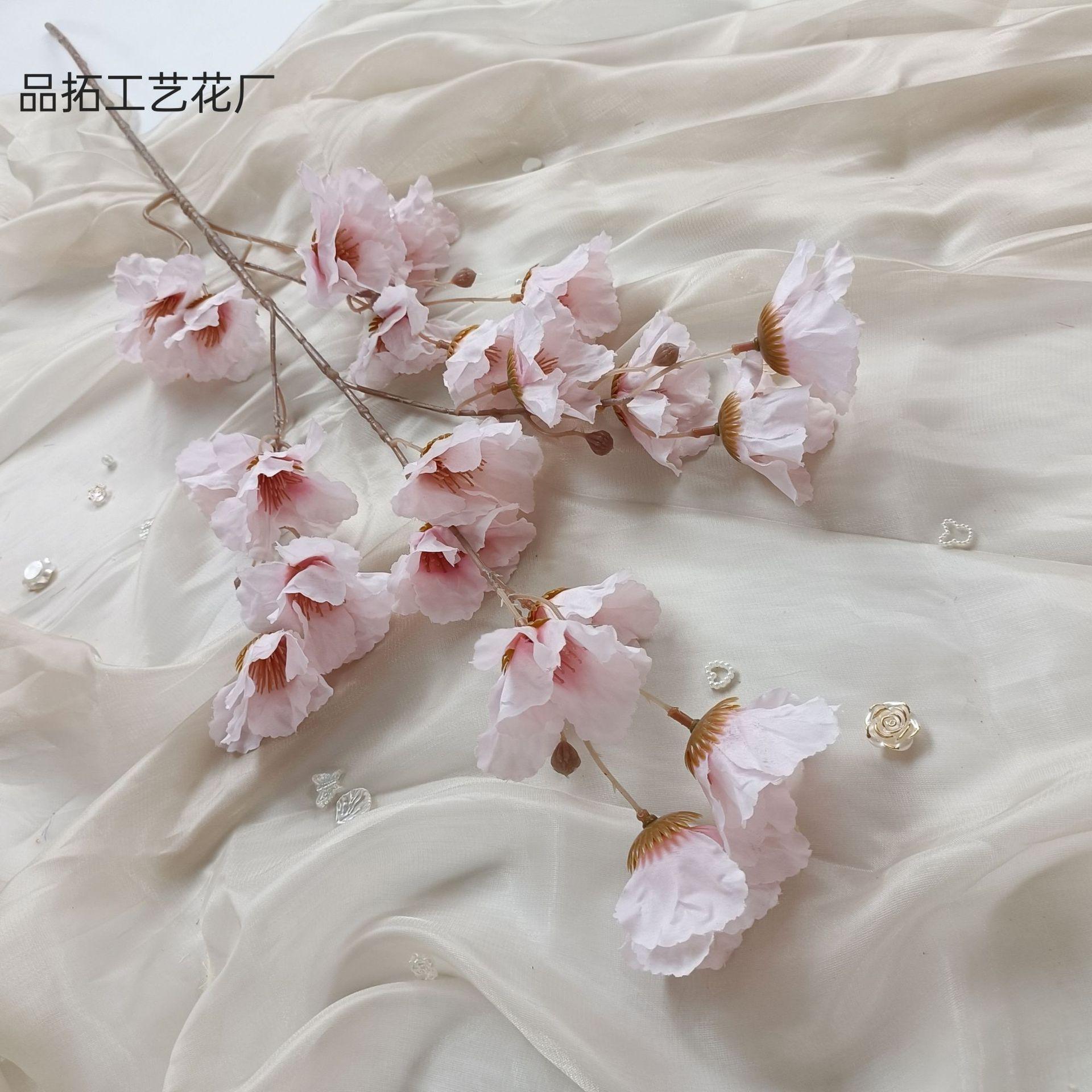 2fc79e22779a6dd6c1407779dee7ff