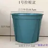 Macetas de Resina de PP para Control de Raíces de Suculentas, Macetas Verdes, Macetas de Galón, Macetas para Flores de Rábano Verde, Transpirables y Buenas para Prevenir la Pudrición de Raíces, Envío Gratis Incluido