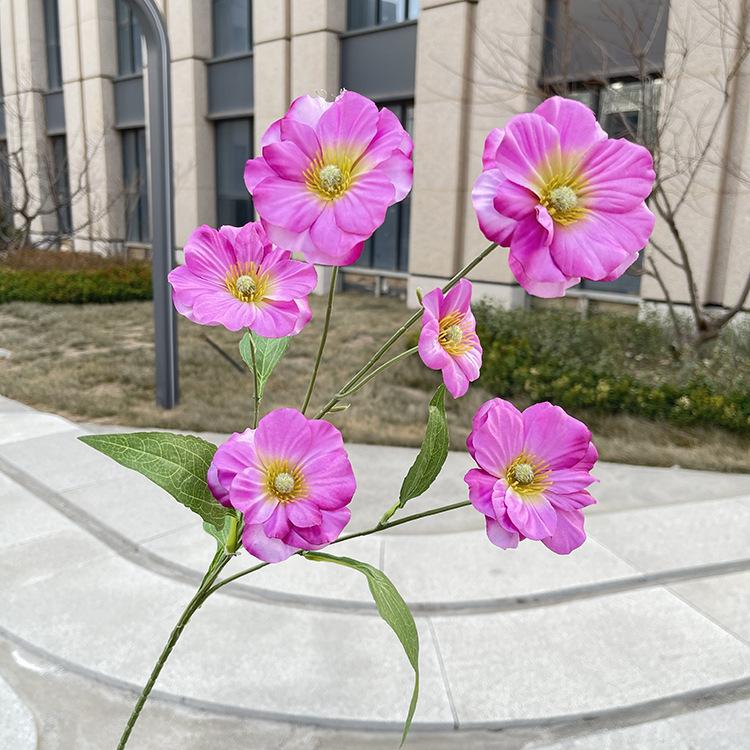 6头单支蝴蝶花-sxljlx-紫红.JPG