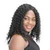 Chapelaria europeia e americana peruca de rolo pequeno chapéu de peruca Mulheres africanas médio pequeno rolo fofo peruca chapelaria